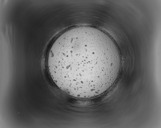 X0000098160351200804171222