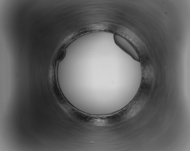 X0000098160352200804171222