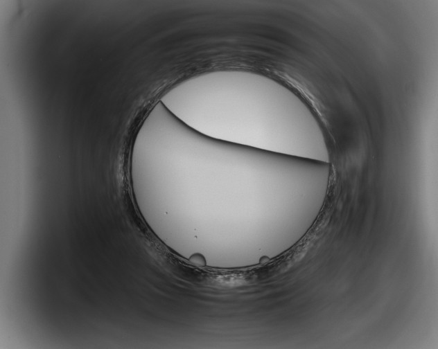 X0000098160353200804171222