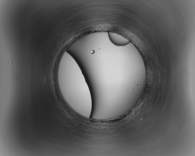 X0000098160354200804171222