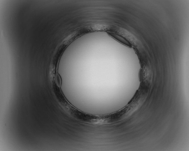 X0000098160356200804171222