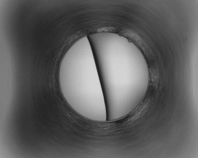 X0000098160357200804171223