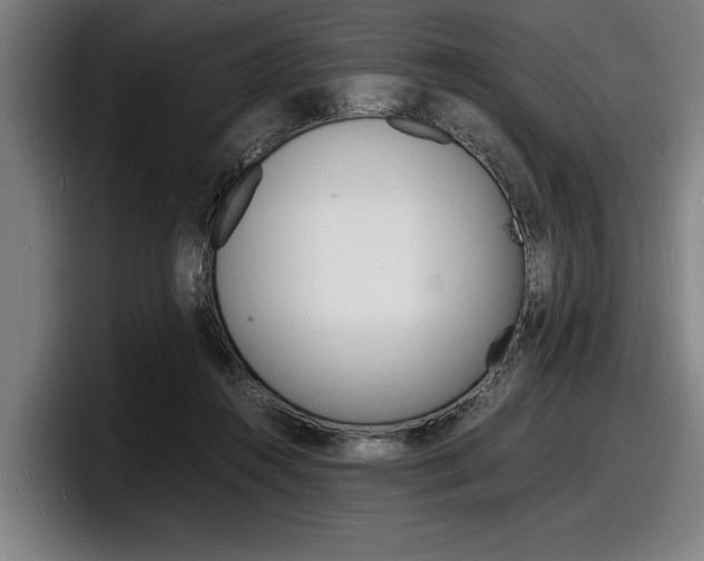 X0000098160360200804171223