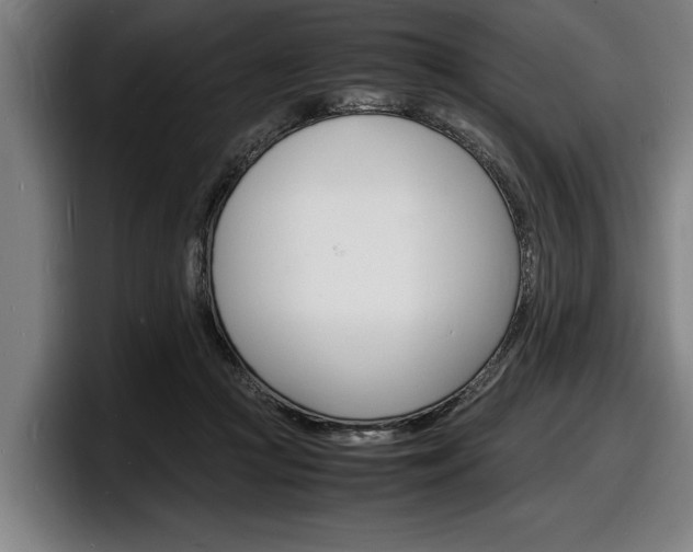 X0000098160361200804171223