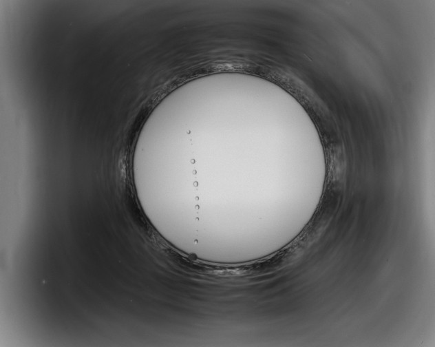 X0000098160363200804171223