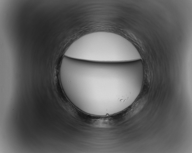 X0000098160366200804171223