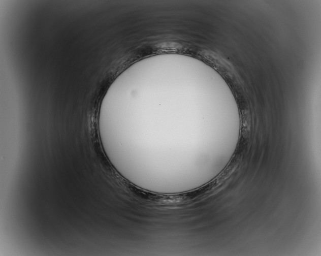 X0000098160369200804171223