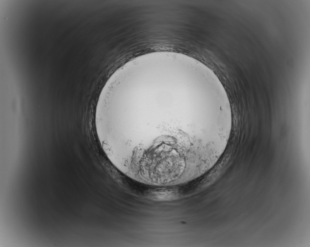 X0000098160370200804171223