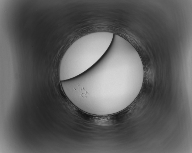 X0000098160373200804171223
