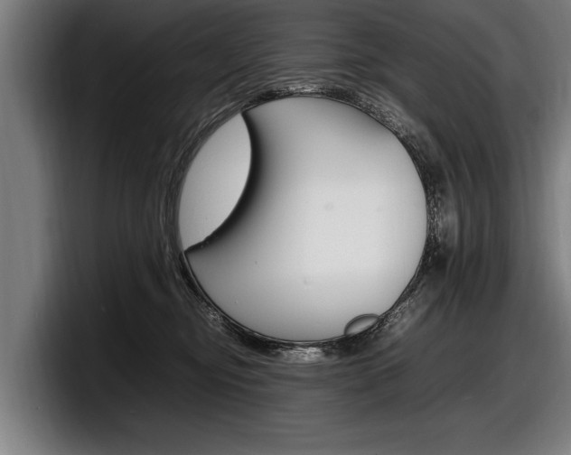 X0000098160374200804171223