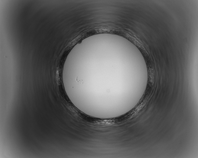 X0000098160378200804171223