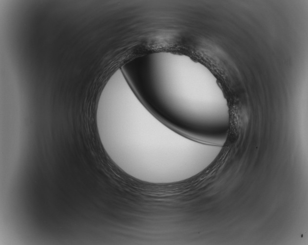 X0000098160380200804171223