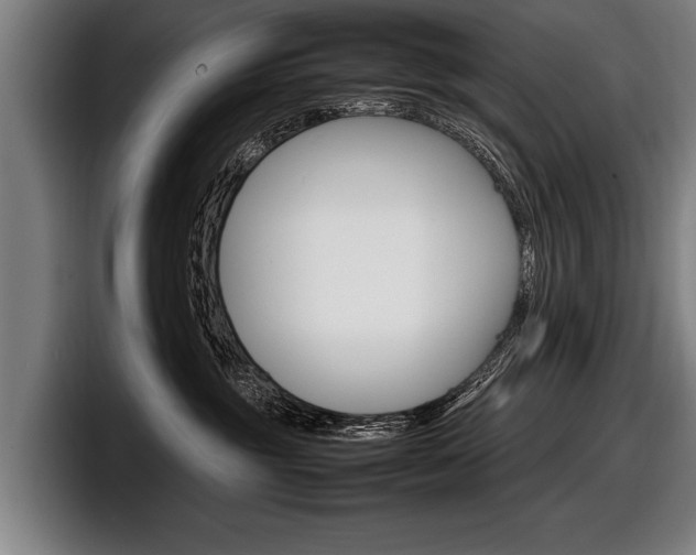 X0000098160381200804171223