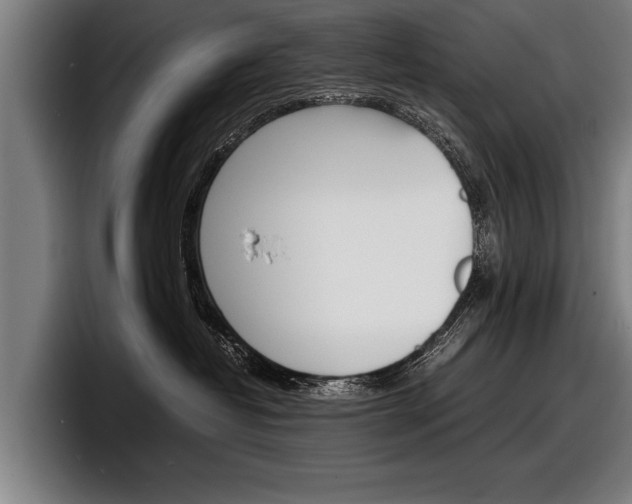X0000098160382200804171223