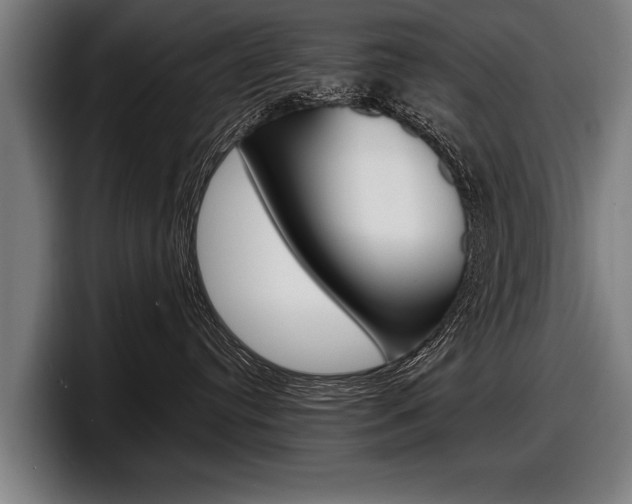 X0000098160384200804171223