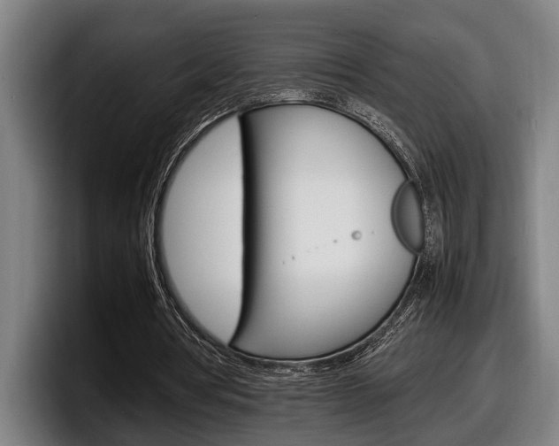 X0000098160386200804171222
