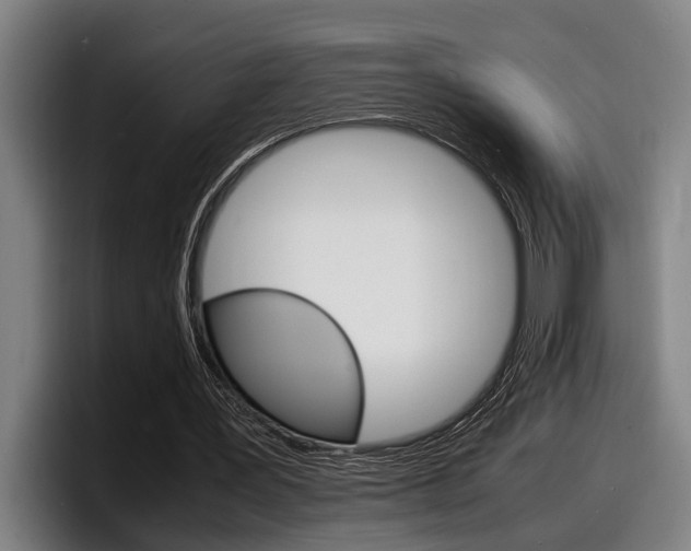 X0000098160387200804171222