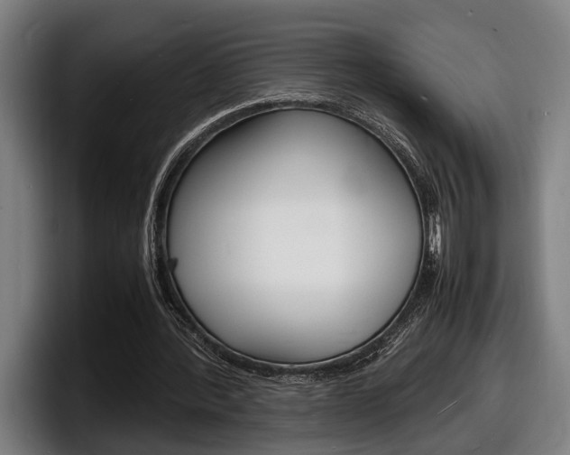 X0000098160388200804171222