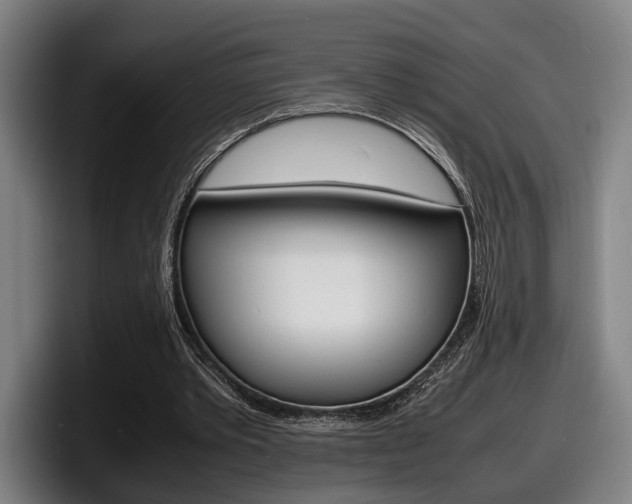X0000098160389200804171222