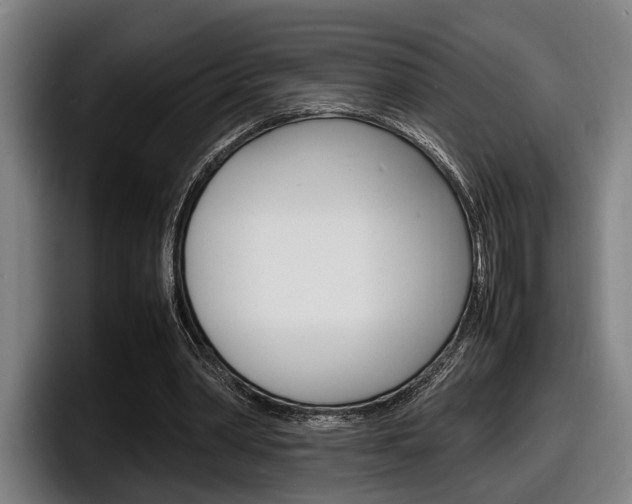 X0000098160390200804171222