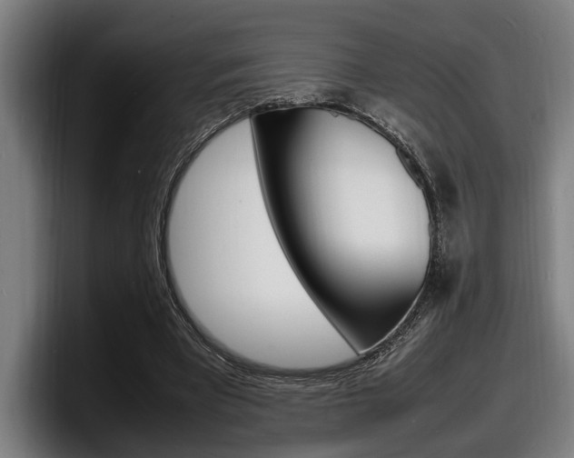 X0000098160393200804171222