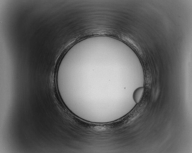 X0000098160394200804171222