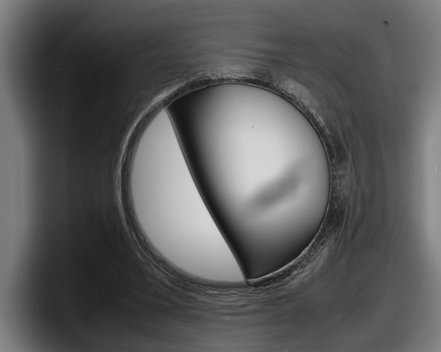 X0000098160395200804171222