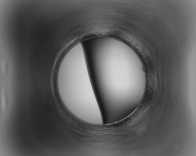 X0000098160399200804171222