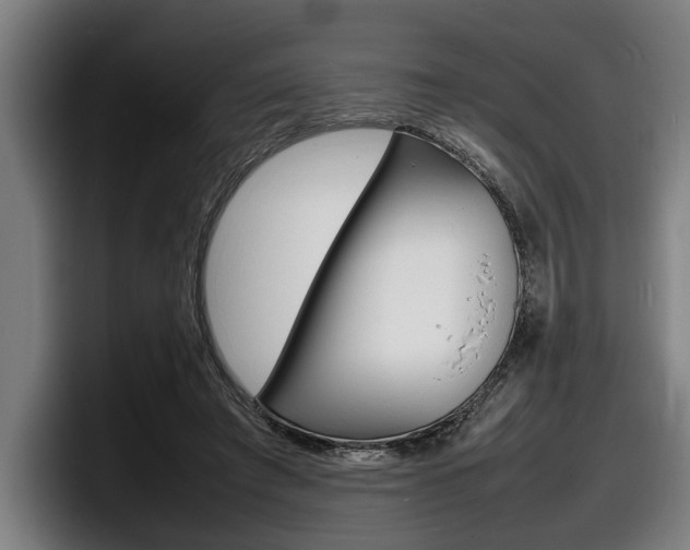 X0000098160401200804171222