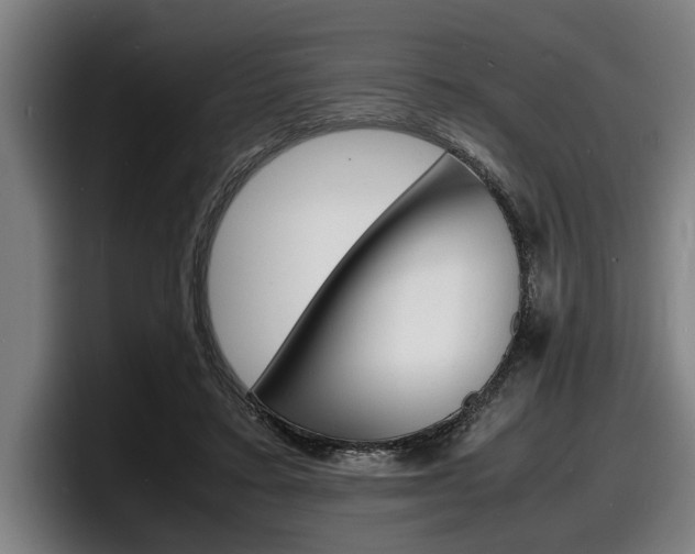 X0000098160403200804171222