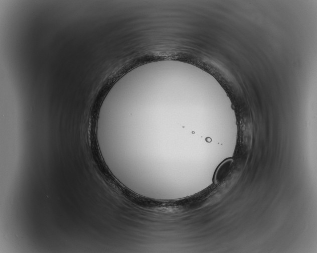 X0000098160404200804171222