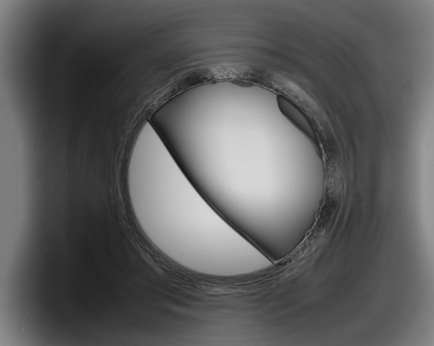X0000098160405200804171222