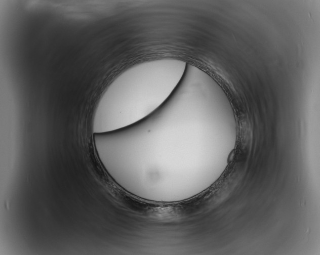 X0000098160406200804171222