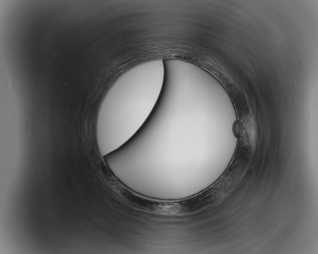 X0000098160410200804171222