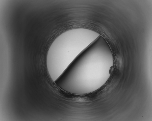X0000098160412200804171222