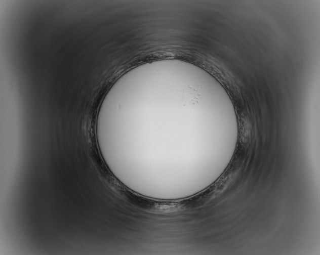 X0000098160414200804171222