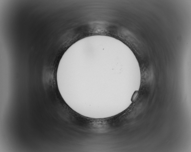 X0000098160415200804171222