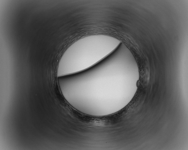 X0000098160416200804171222