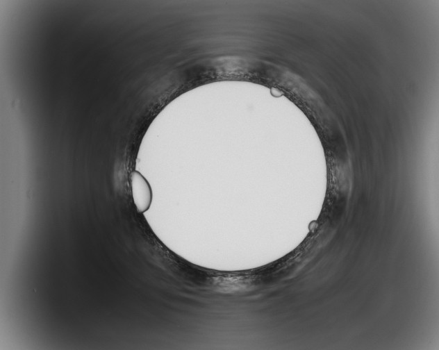 X0000098160419200804171222