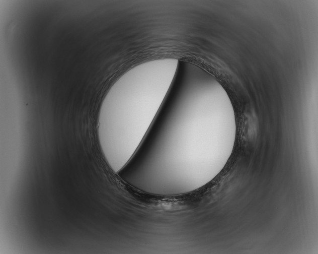 X0000098160420200804171222
