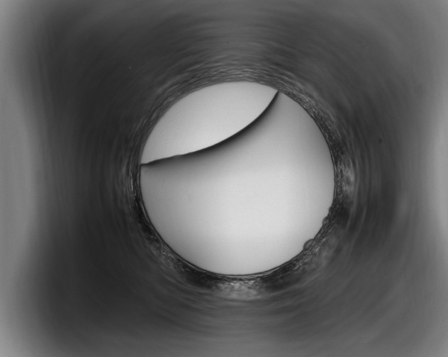 X0000098160422200804171222