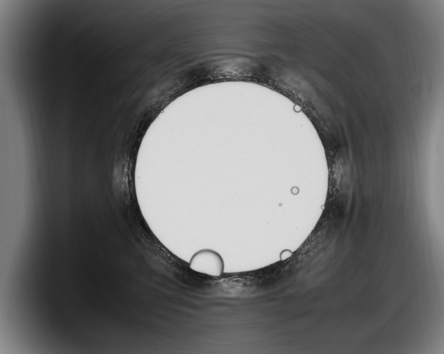 X0000098160423200804171222