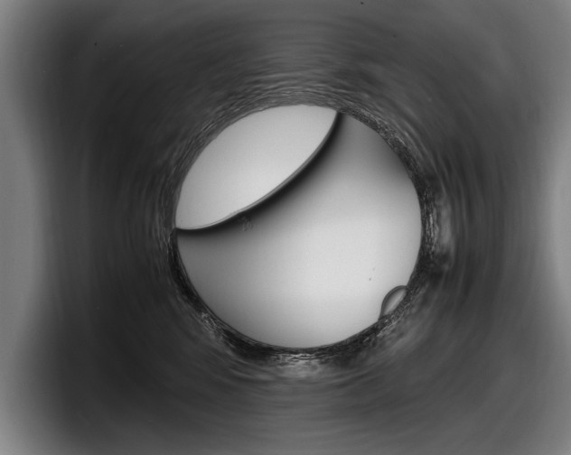 X0000098160424200804171222