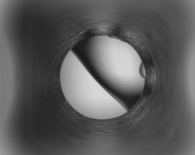 X0000098160425200804171222