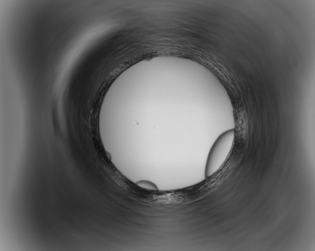 X0000098160430200804171222