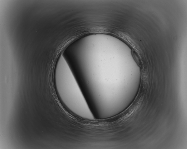 X0000098160433200804171221