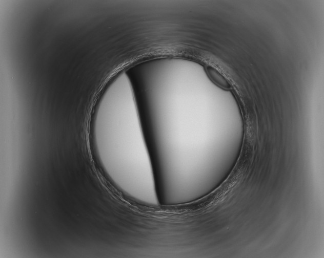 X0000098160434200804171221