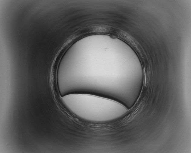 X0000098160435200804171221