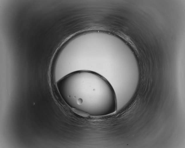 X0000098160436200804171221