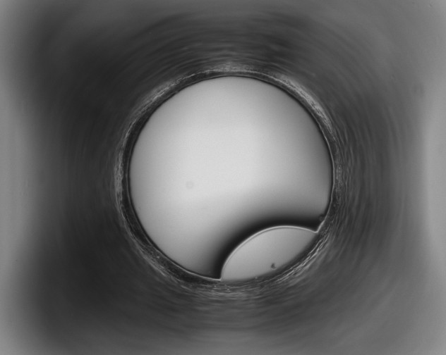X0000098160437200804171221